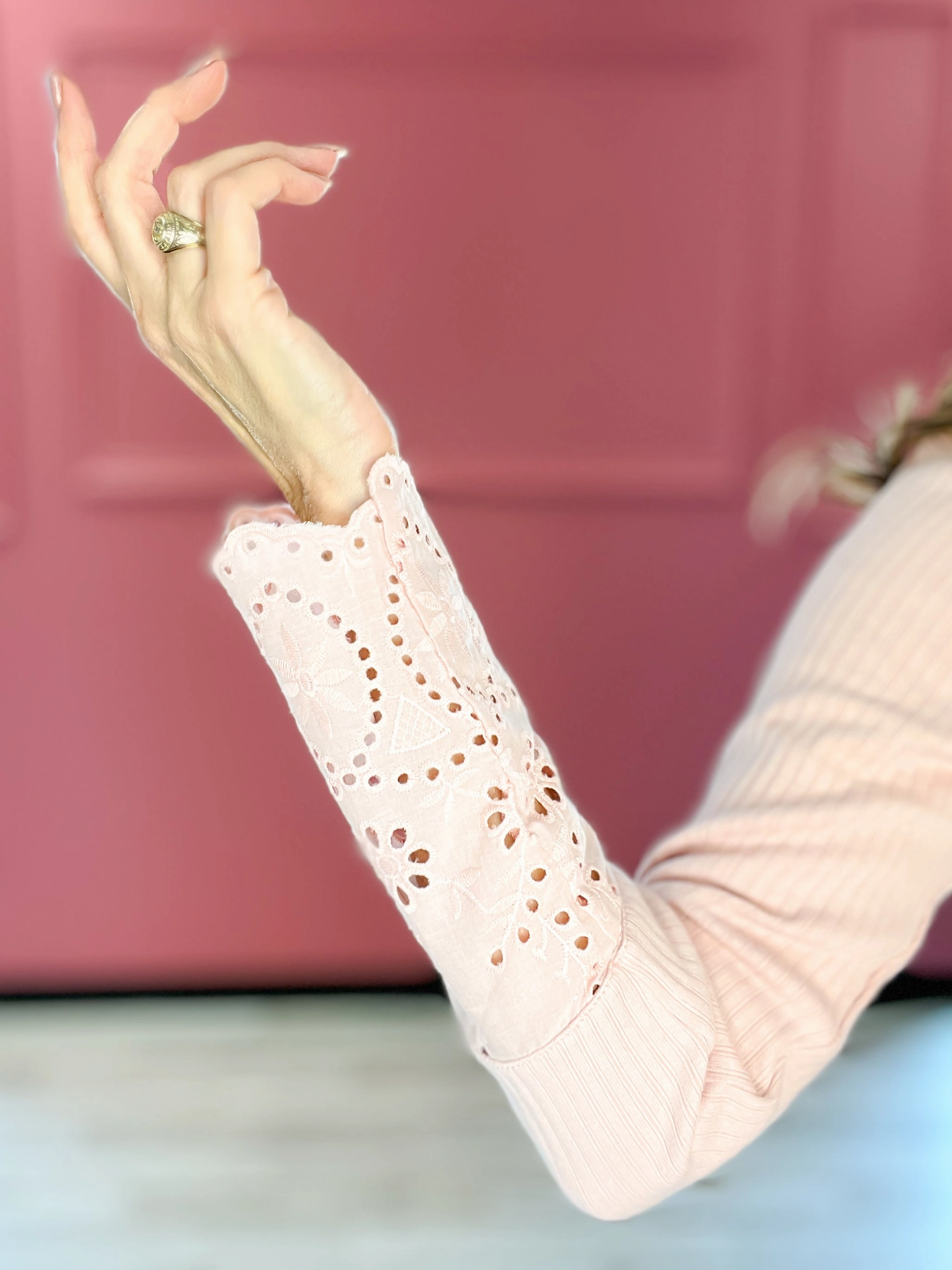 Chic Edge Embroidered Top