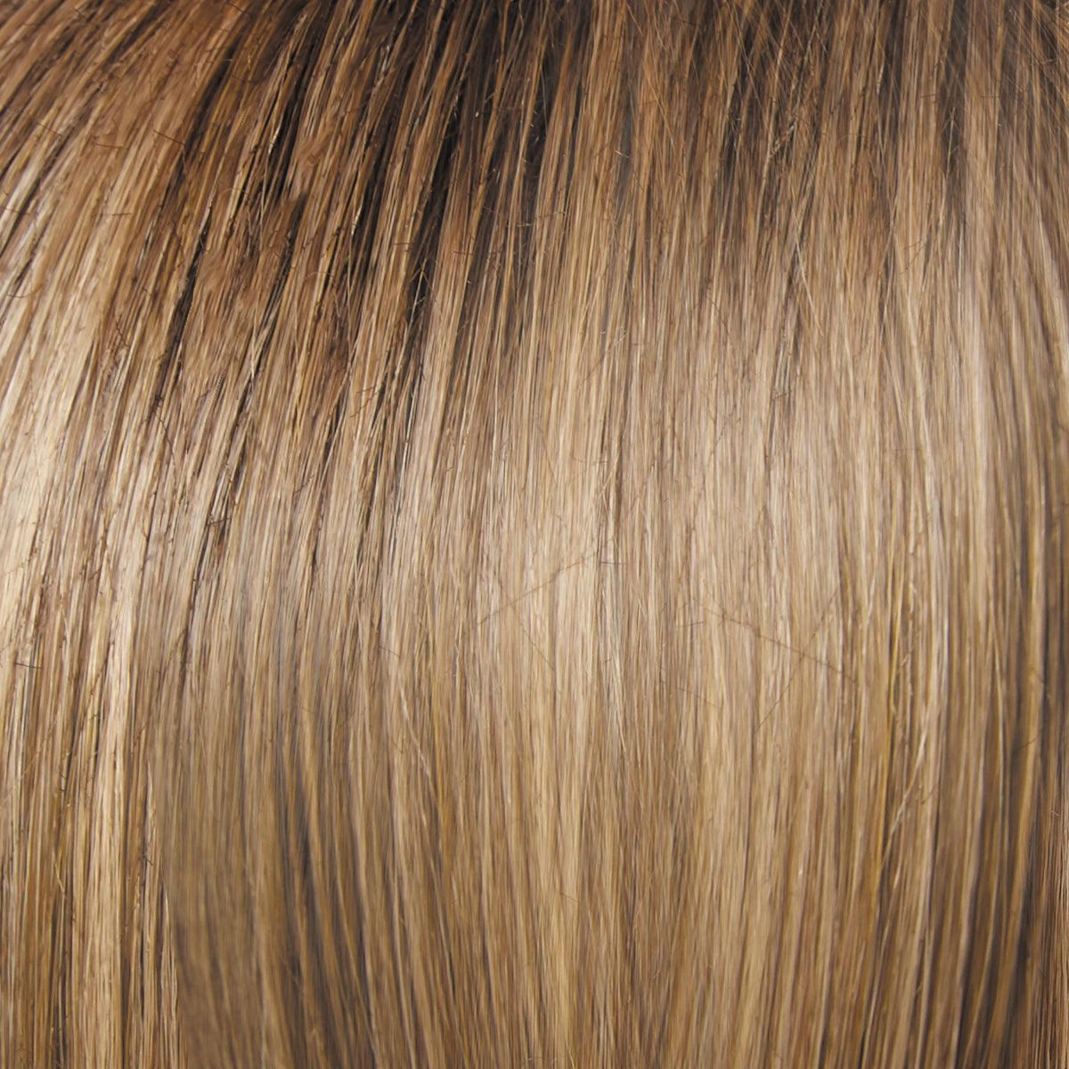 Day to Date Wig by Raquel Welch | Heat Resistant Synthetic Lace Front (Mono Part)