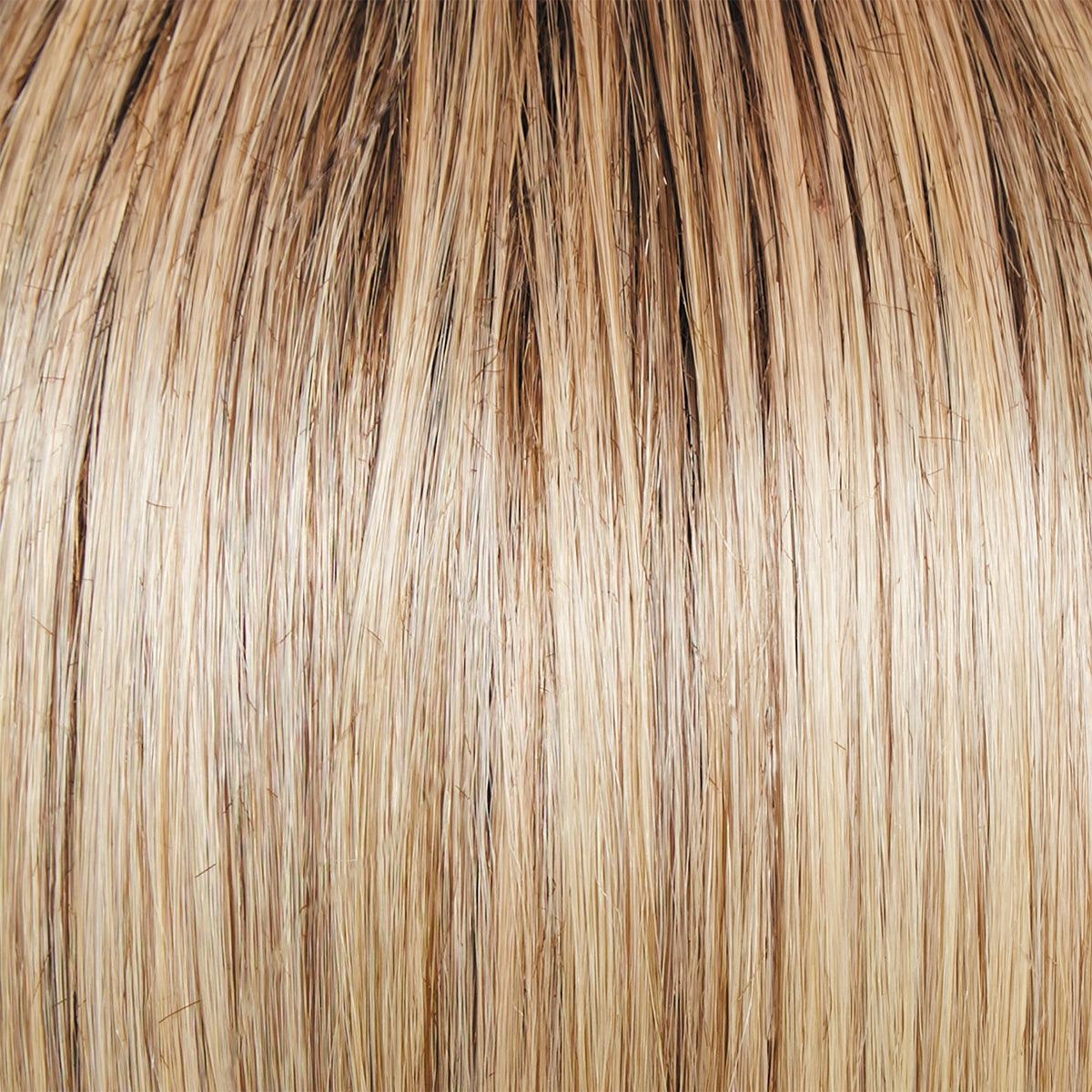 Day to Date Wig by Raquel Welch | Heat Resistant Synthetic Lace Front (Mono Part)
