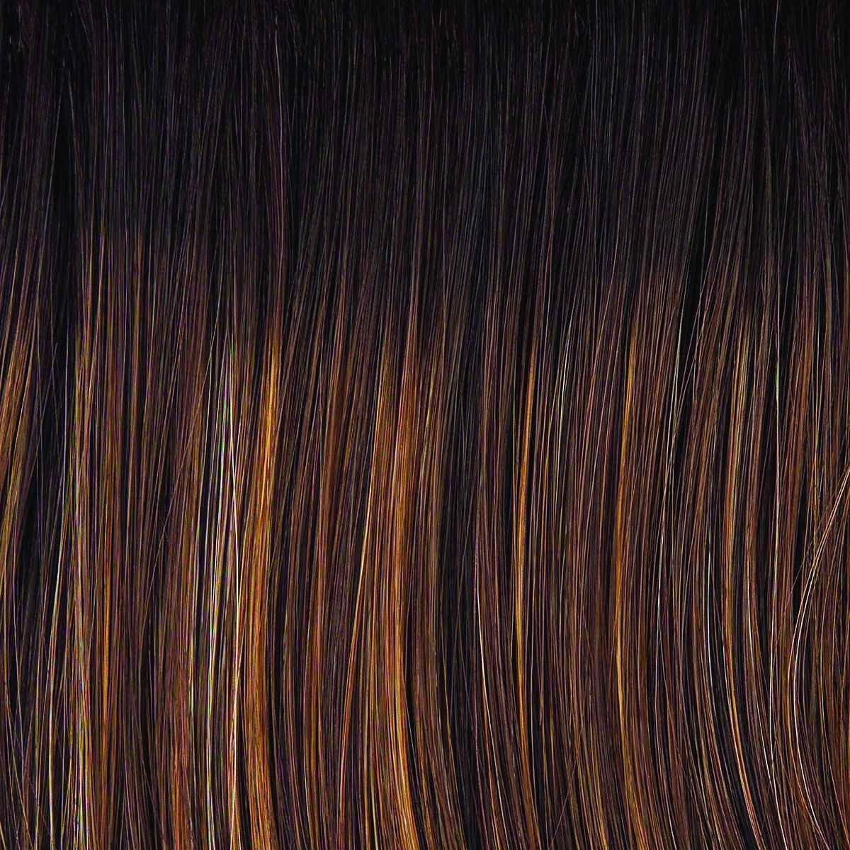 Day to Date Wig by Raquel Welch | Heat Resistant Synthetic Lace Front (Mono Part)