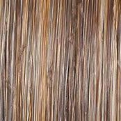 Day to Date Wig by Raquel Welch | Heat Resistant Synthetic Lace Front (Mono Part)