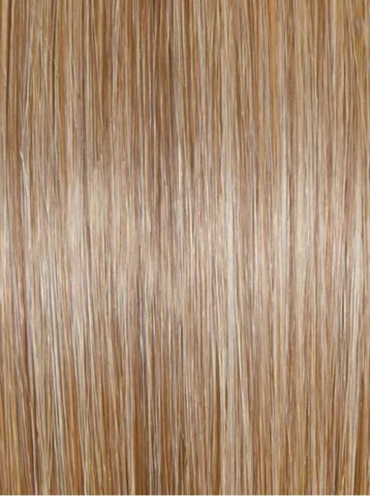 Day to Date Wig by Raquel Welch | Heat Resistant Synthetic Lace Front (Mono Part)