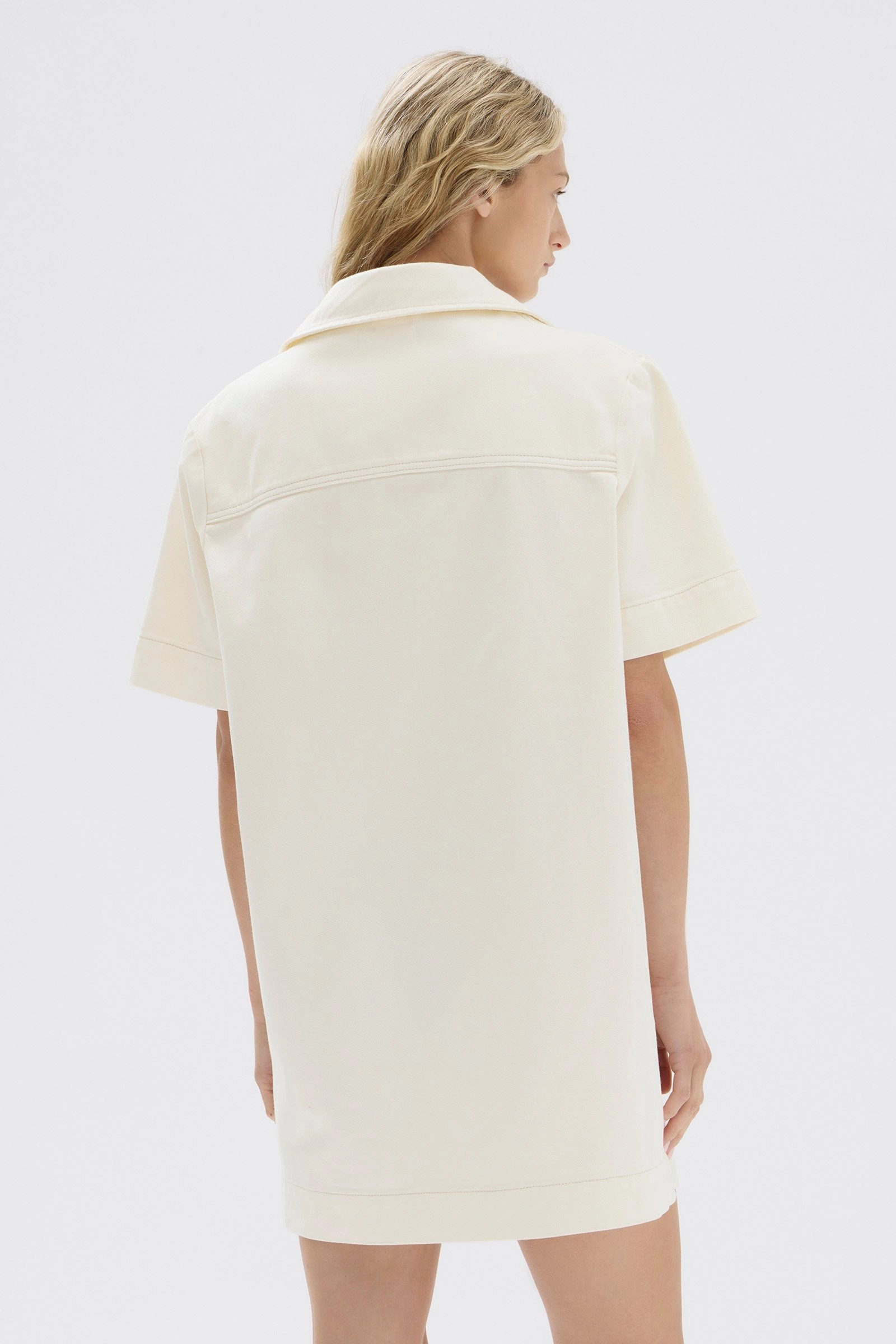 Genevieve Denim Mini Dress