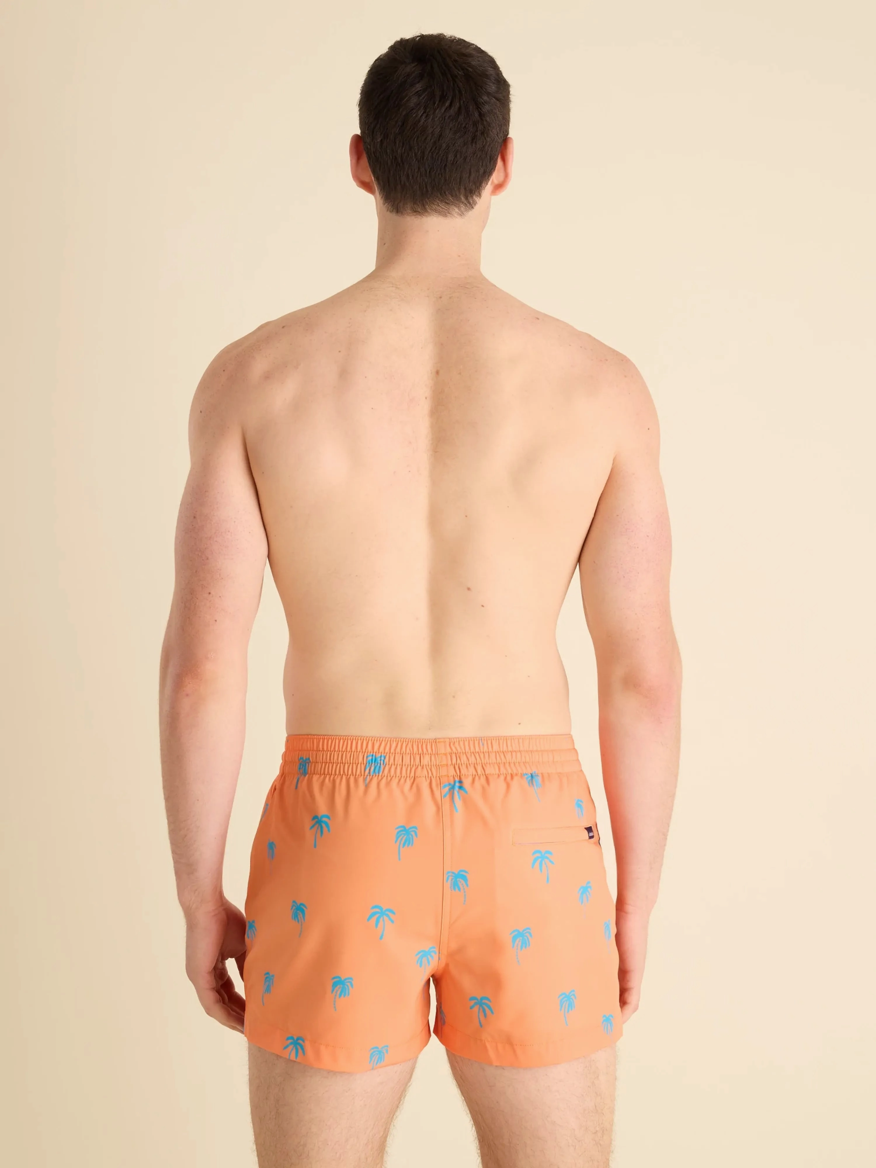 The Sundown Palms 4" (Classic Lined Swim Trunk)