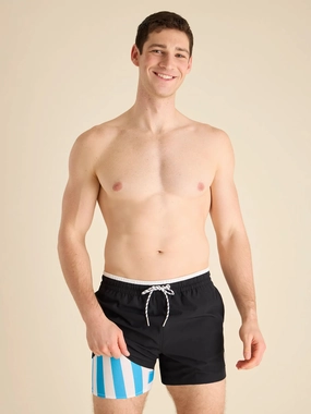 The Under the Capes 4" (Classic Lined Swim Trunk)